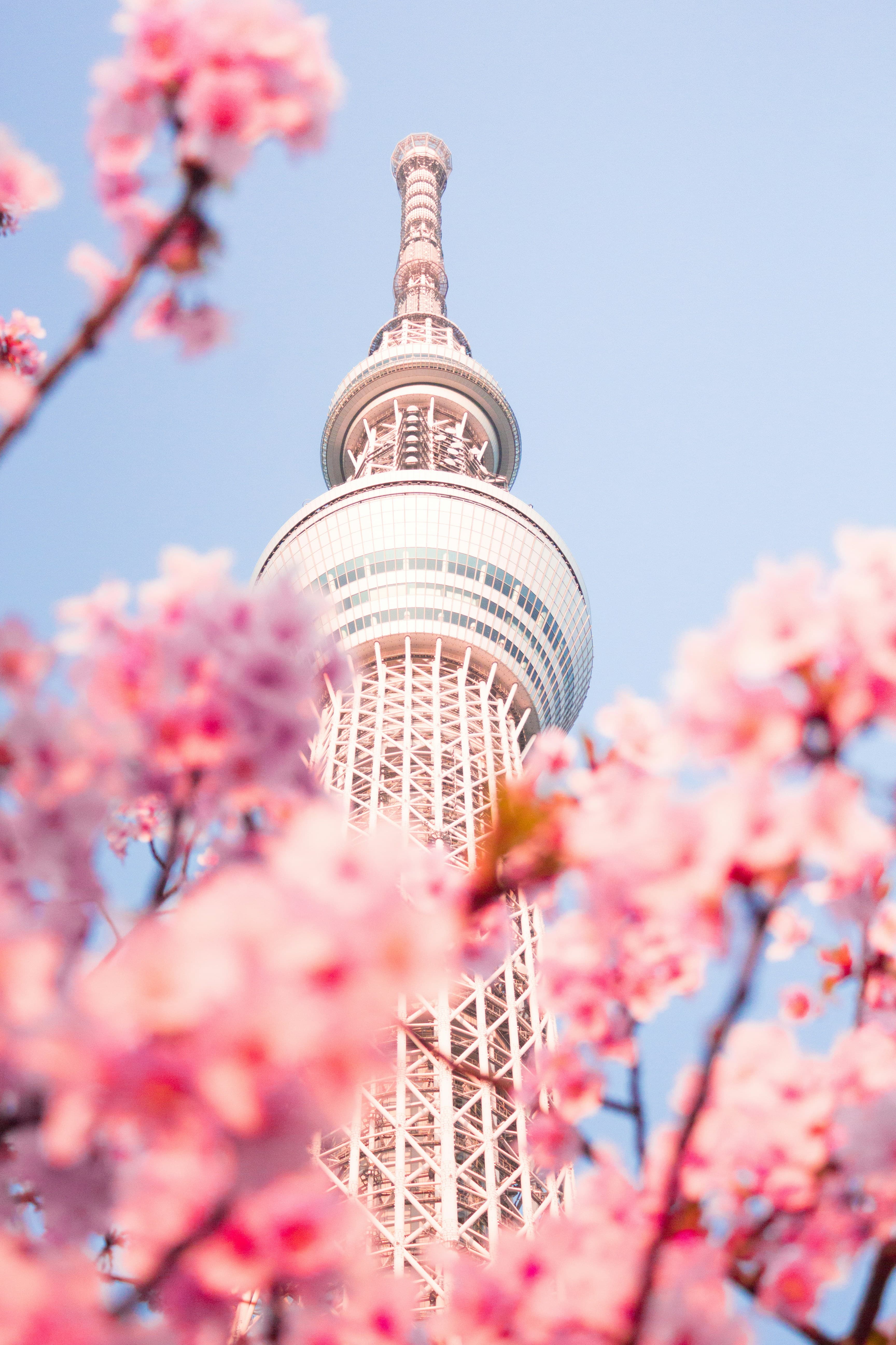Top 10 Souvenir Shops